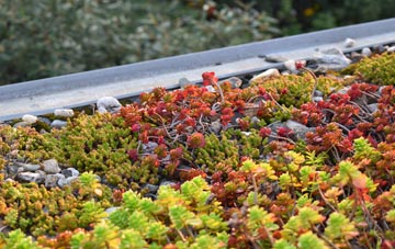 the cost of Wooler green roof installation